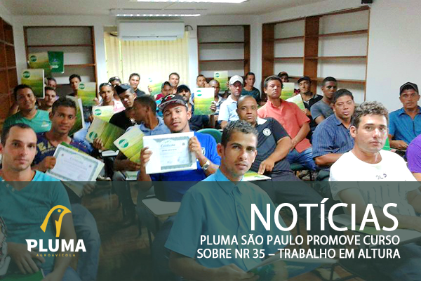 Pluma São Paulo promove curso sobre NR 35 – Trabalho em Altura